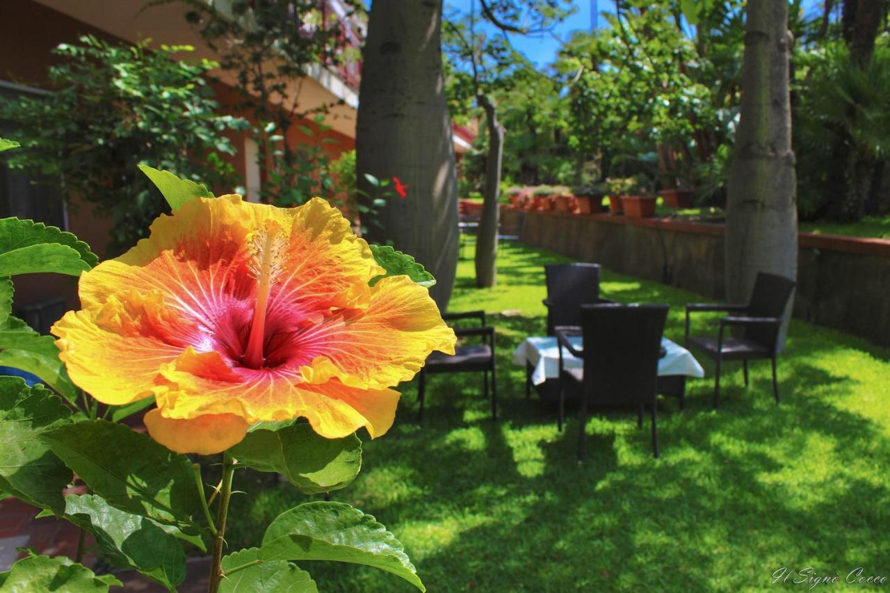 Il Signo Cocco Mare Apartment Taormina Dış mekan fotoğraf